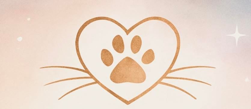 Something magical is coming